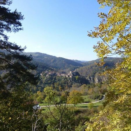 Gite En Pierre Avec Terrasses, Proche De Sites Medievaux, Ideal Pour Famille Avec Equipements Bebe. - Fr-1-582-256 Boisset  المظهر الخارجي الصورة