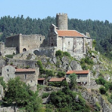 Gite En Pierre Avec Terrasses, Proche De Sites Medievaux, Ideal Pour Famille Avec Equipements Bebe. - Fr-1-582-256 Boisset  المظهر الخارجي الصورة