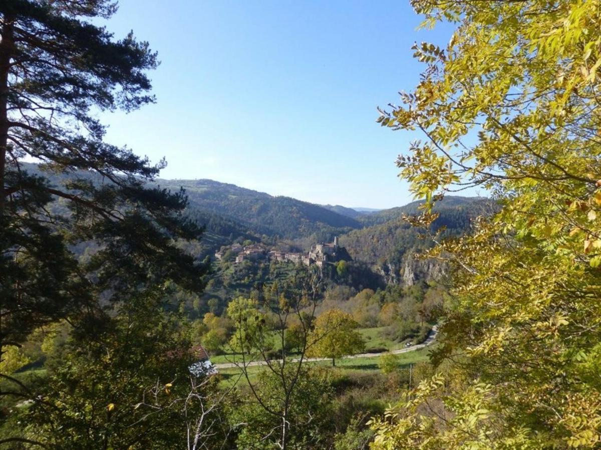 Gite En Pierre Avec Terrasses, Proche De Sites Medievaux, Ideal Pour Famille Avec Equipements Bebe. - Fr-1-582-256 Boisset  المظهر الخارجي الصورة